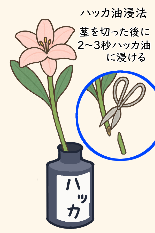 ハッカ油浸法画像