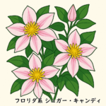 【晩春の茶花】テッセン(鉄線)の魅力|育て方・開花時期・水揚法解説 - 茶道で使う草花の育て方