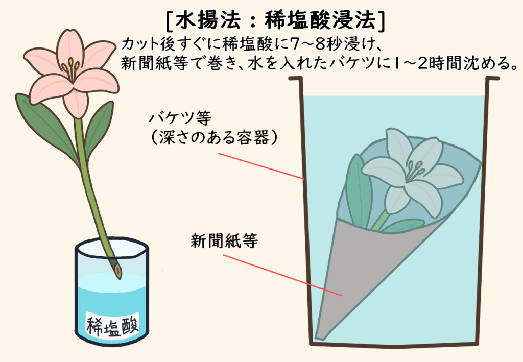 稀塩酸浸法画像