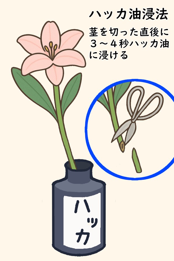 ハッカ油浸法3-4秒