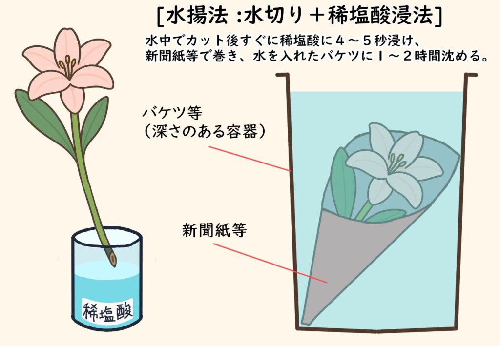 水切り＋希塩酸浸法5秒