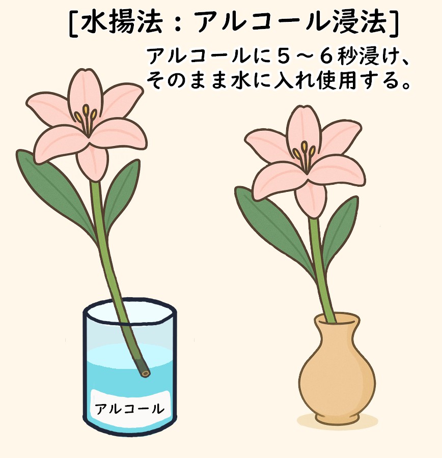 アルコール浸法５秒