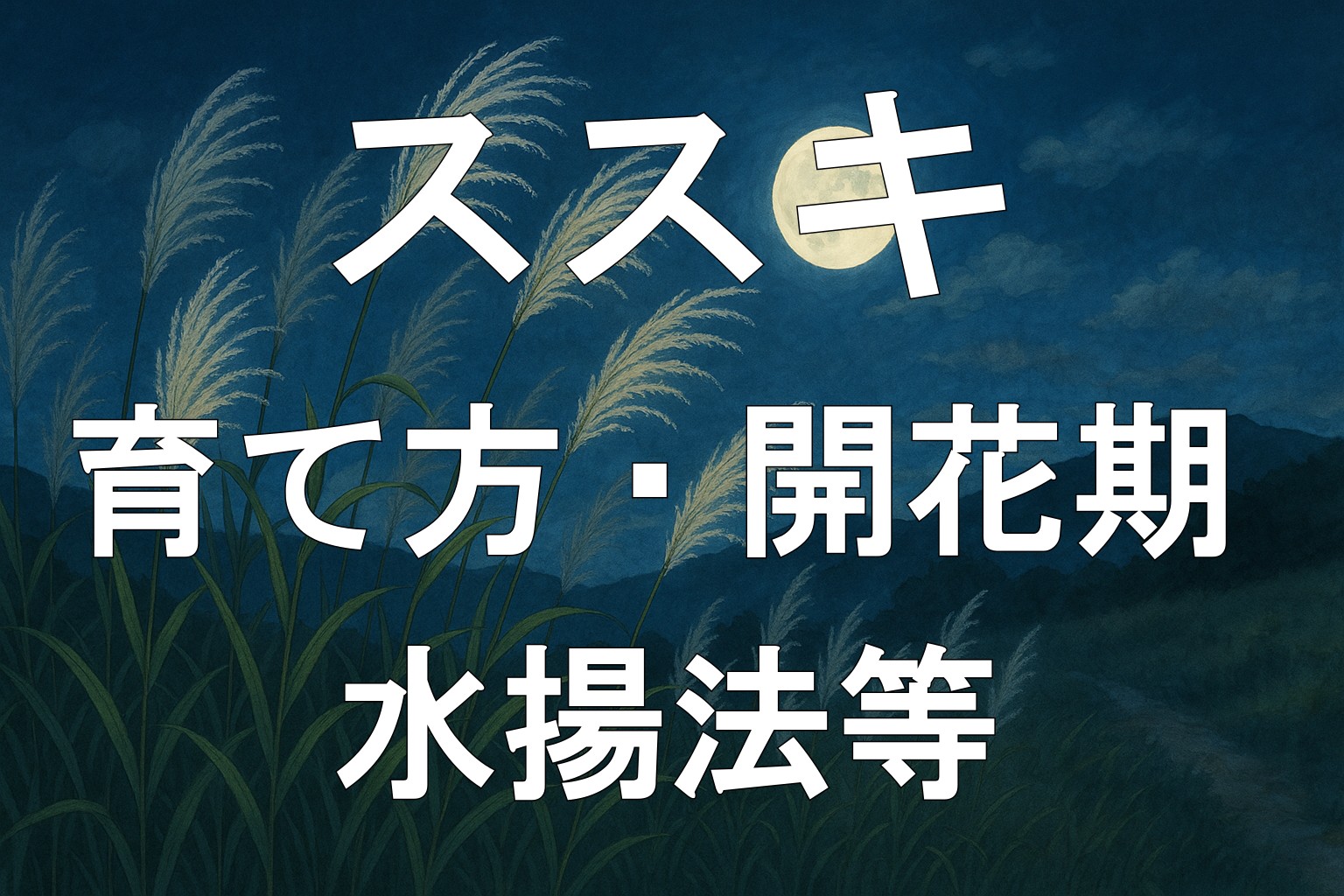 ススキアイキャッチ画像