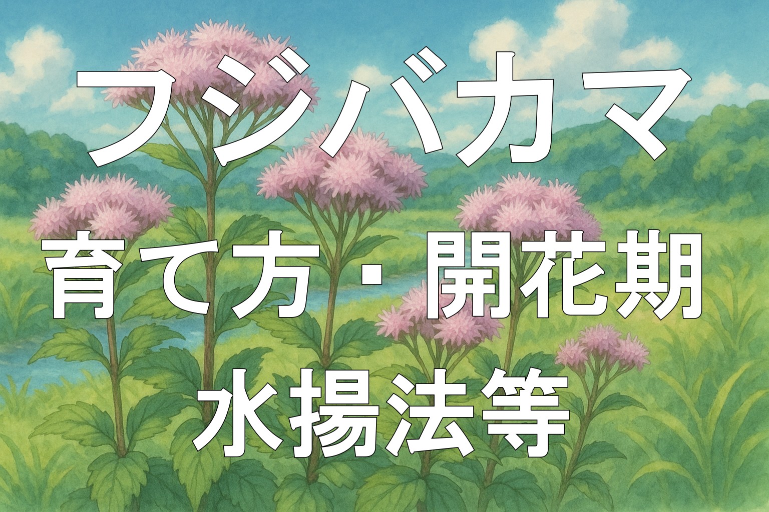 フジバカマアイキャッチ