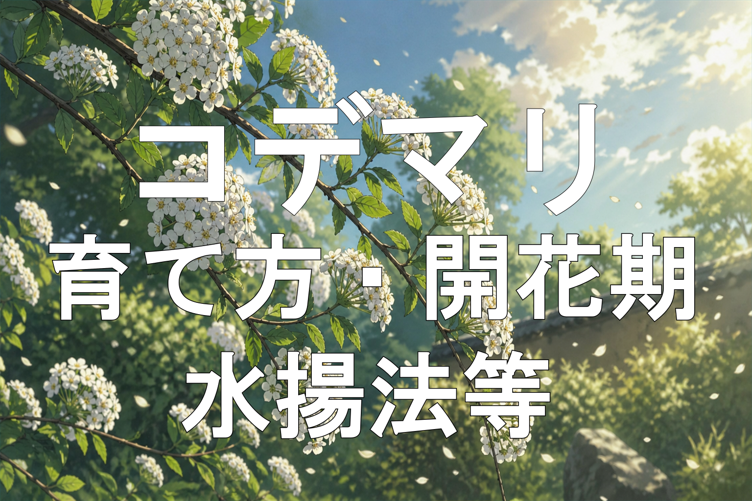 コデマリアイキャッチ画像文字2