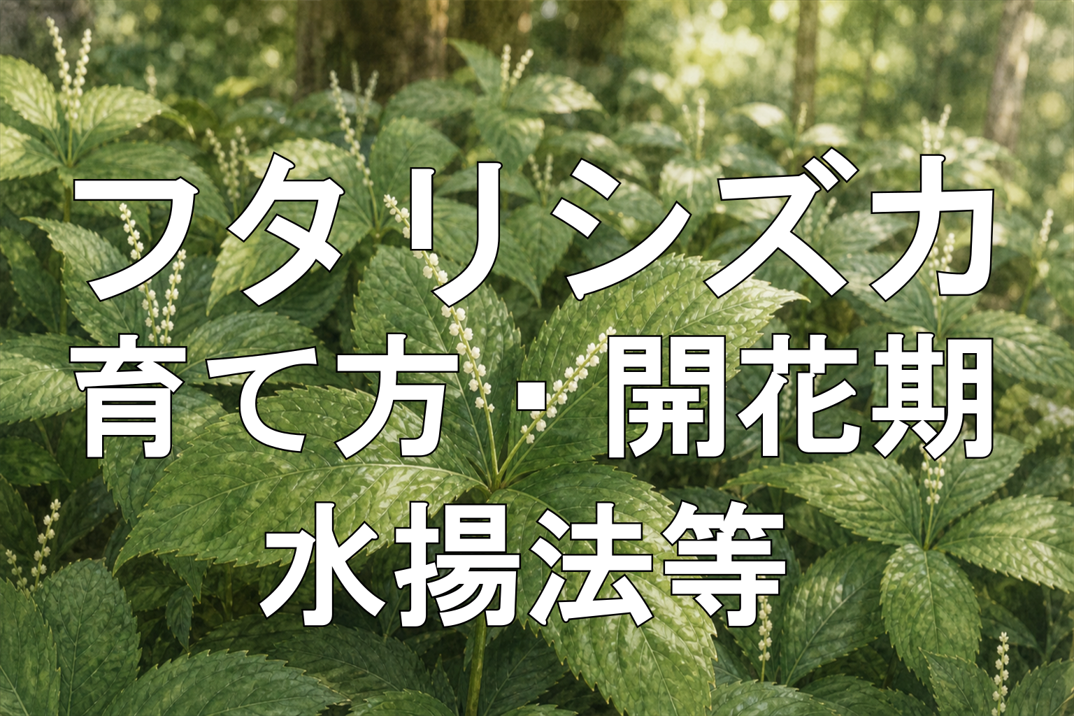 フタリシズカ-アイキャッチ画像