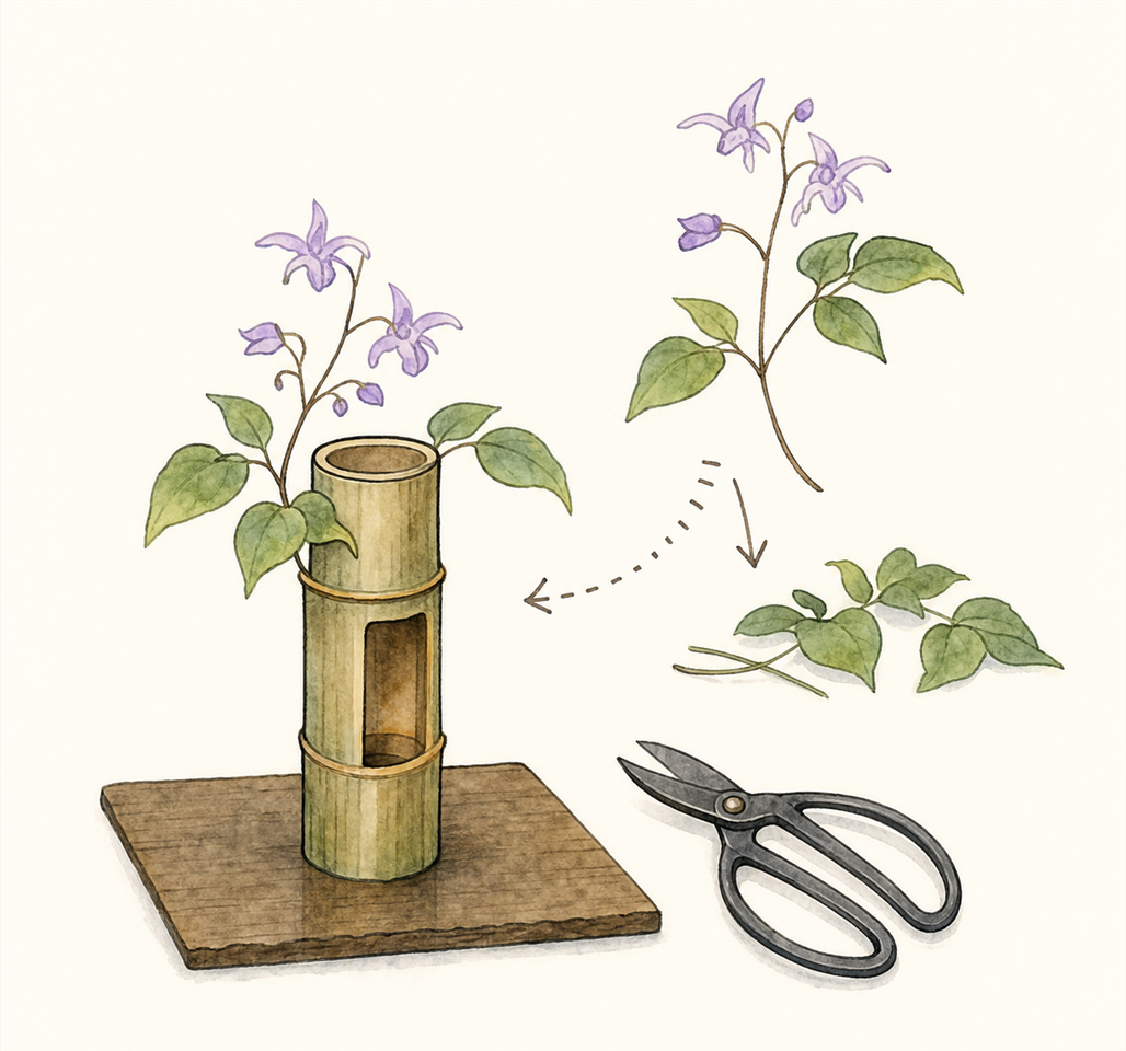 茶席で一枝を花入に入れる時の葉の整理と余白のワンポイントイラスト