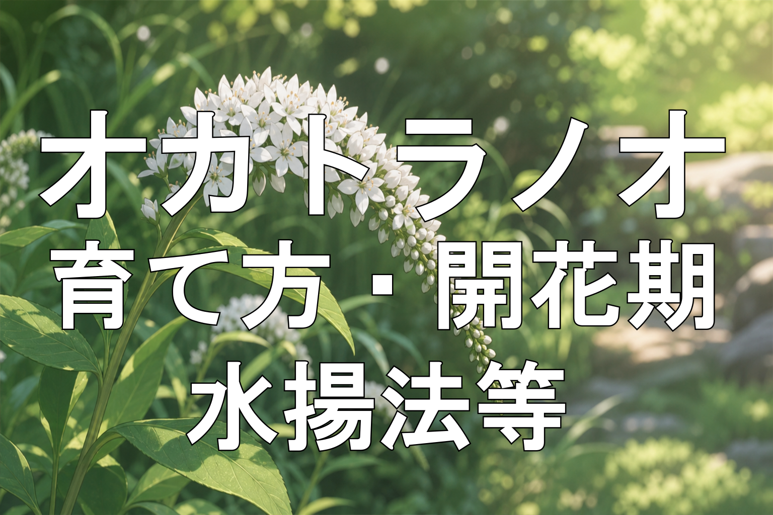 オカトラノオ-アイキャッチ画像