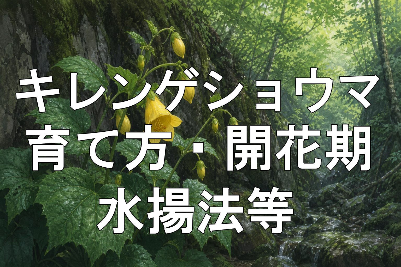 キレンゲショウマアイキャッチ画像