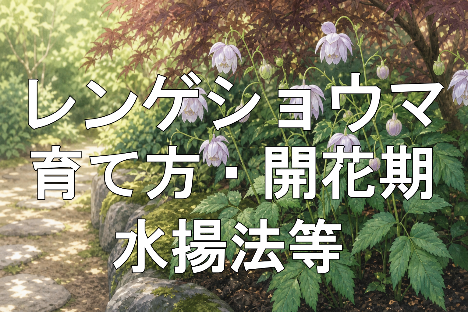 レンゲショウマアイキャッチ画像