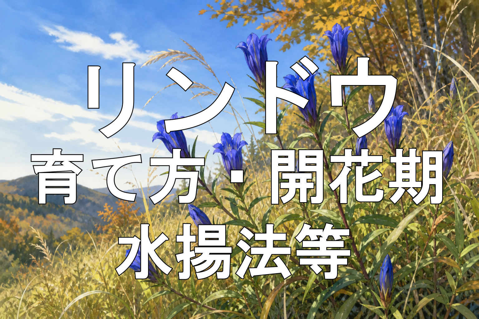 リンドウアイキャッチ画像