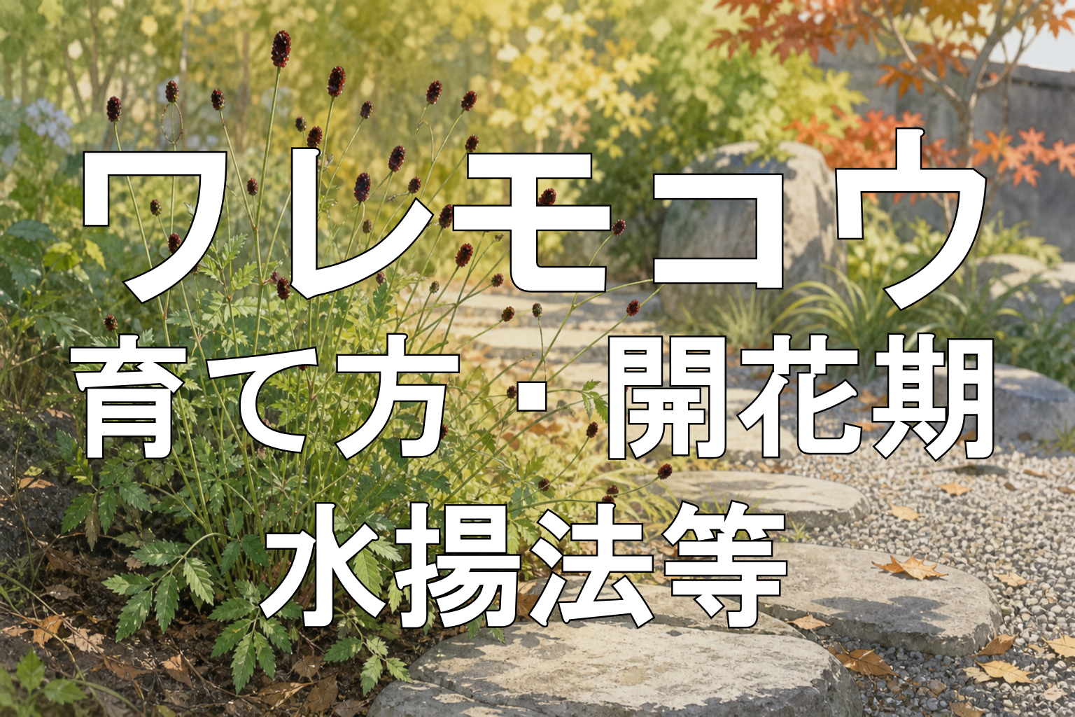 ワレモコウアイキャッチ画像