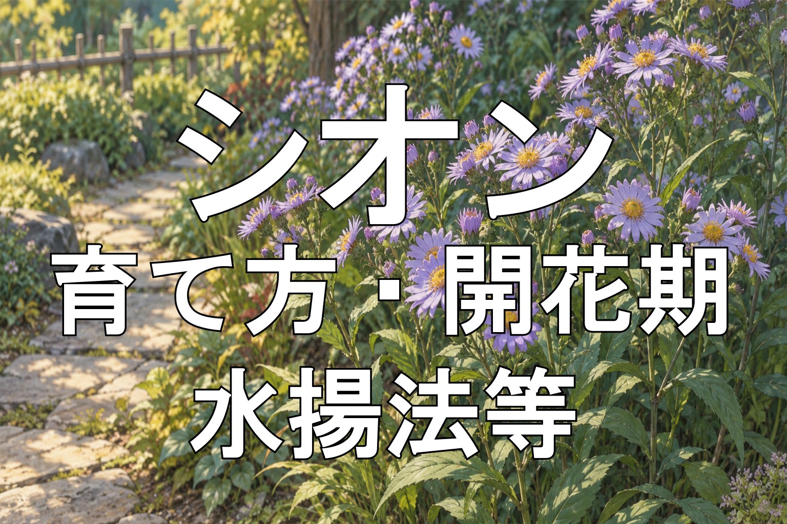 シオンアイキャッチ画像