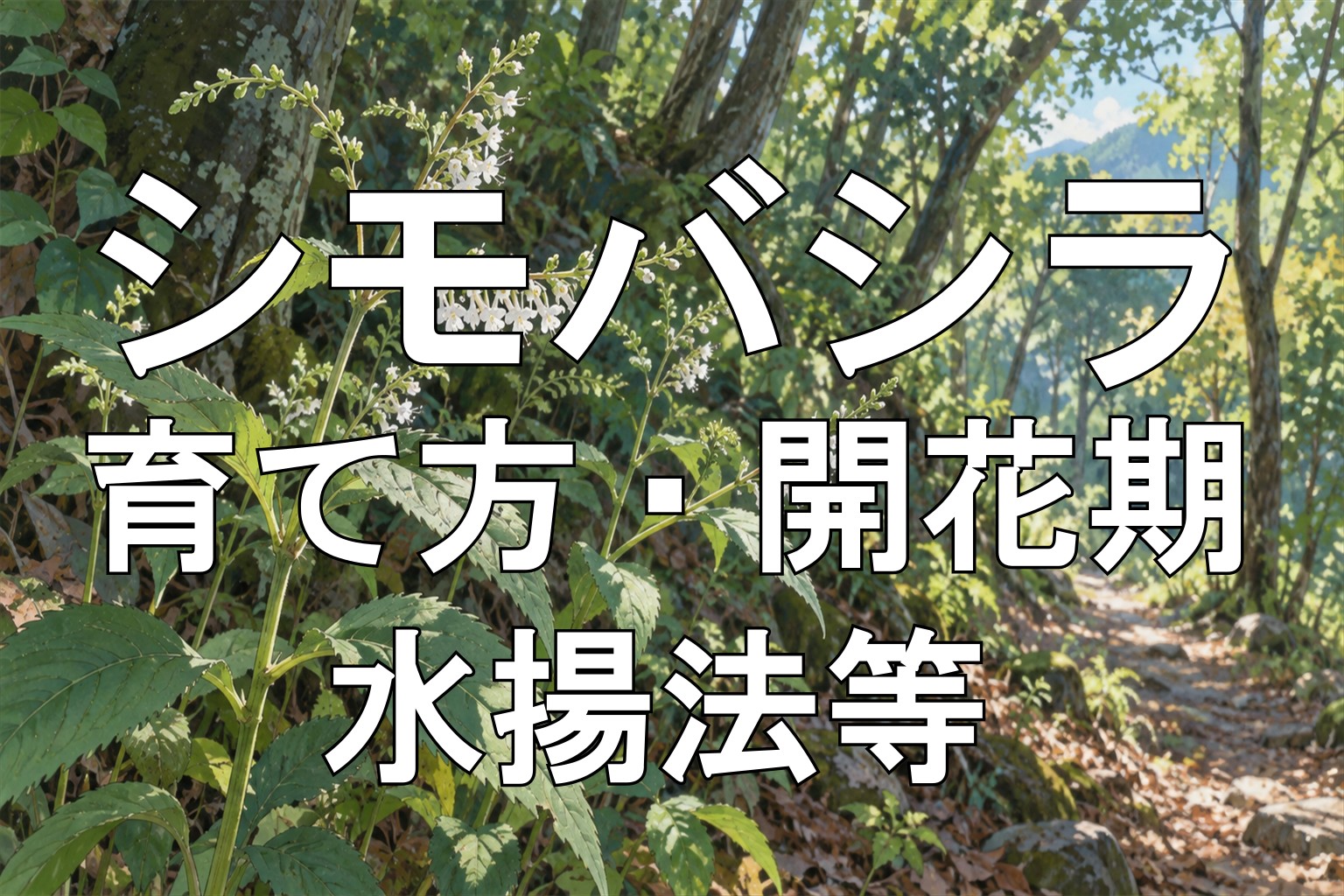 シモバシラアイキャッチ画像