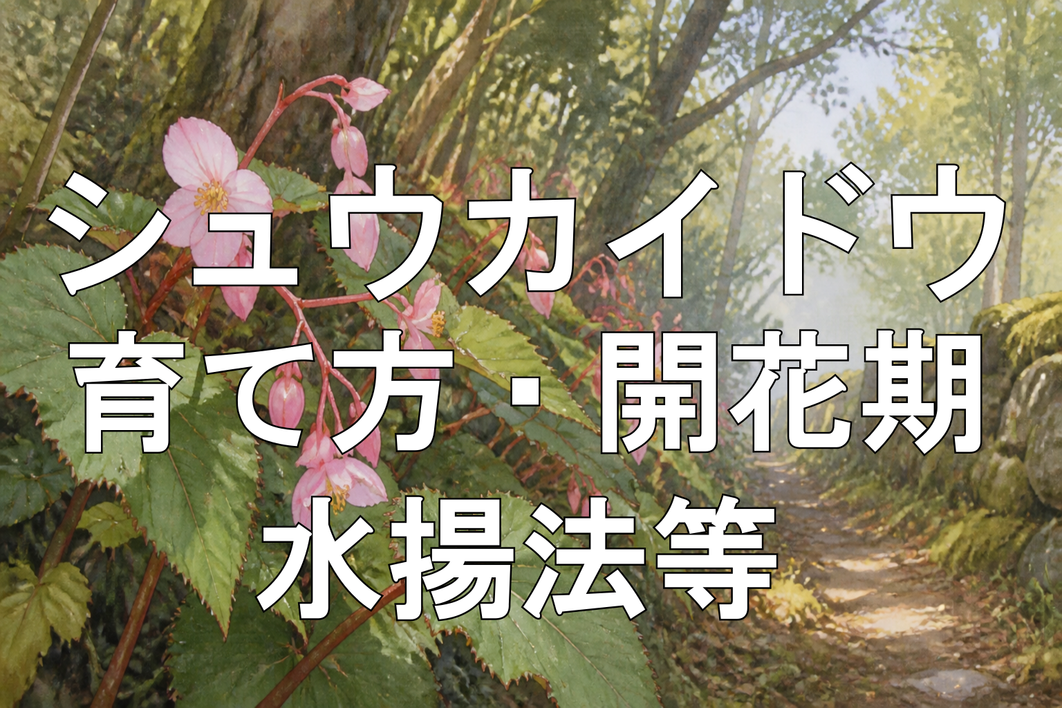 シュウカイドウアイキャッチ画像