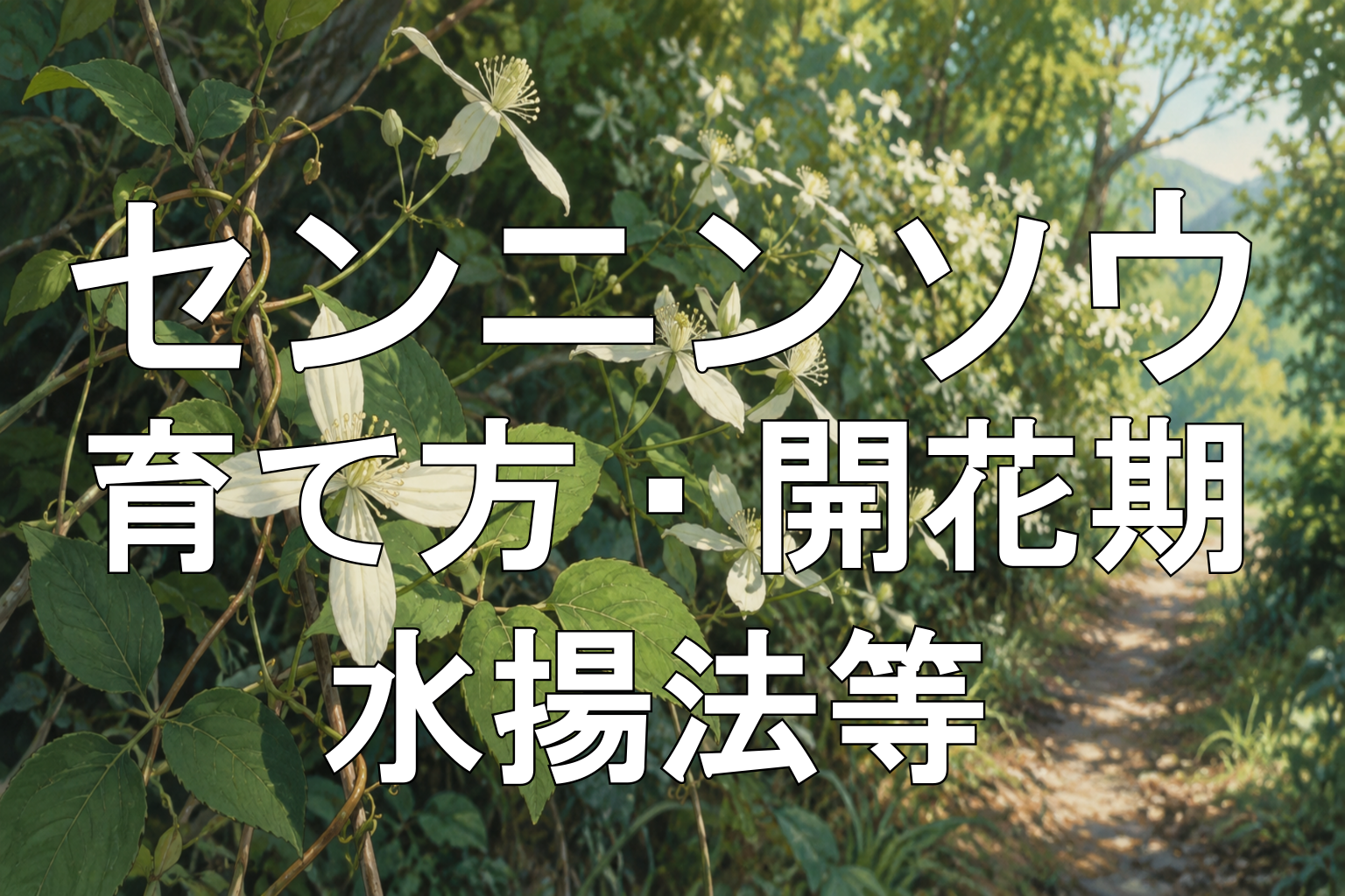 センニンソウアイキャッチ画像