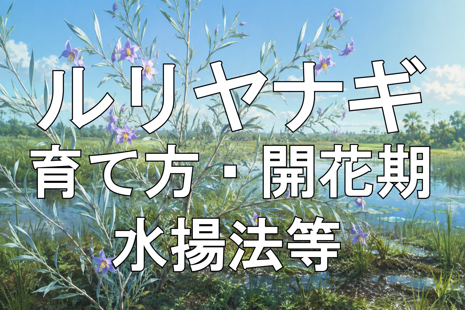 ルリヤナギアイキャッチ画像