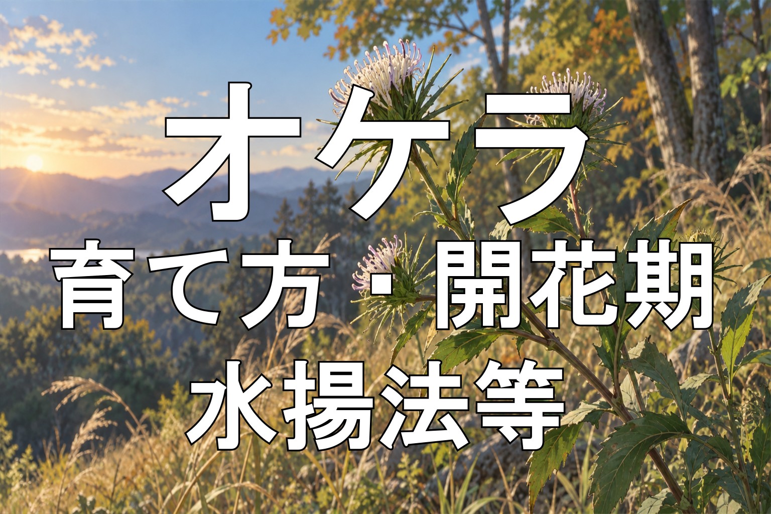 オケラアイキャッチ画像