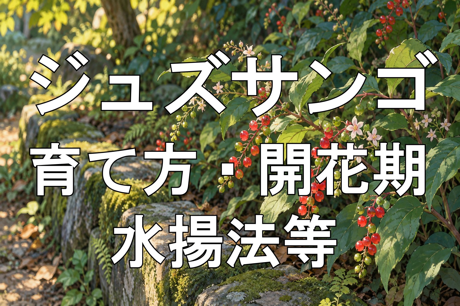 ジュズサンゴアイキャッチ画像